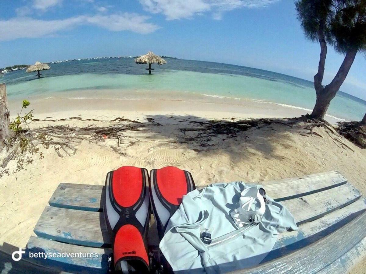 The Venue - Utila Hostel Ngoại thất bức ảnh